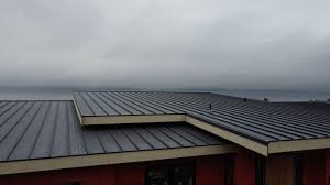 Fast & Reliable Emergency Roof Repairs in Rancho Alegre, TX